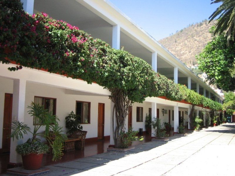 Hotel Los Olivos Spa Oaxaca Bagian luar foto